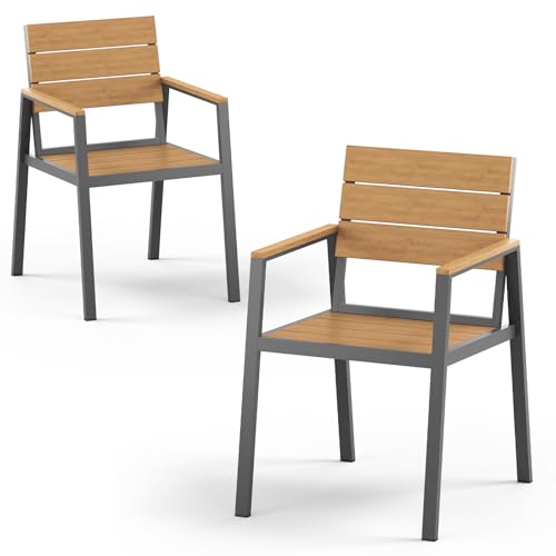 Oasbira Outdoor Patio Dining Chairs Set of 2